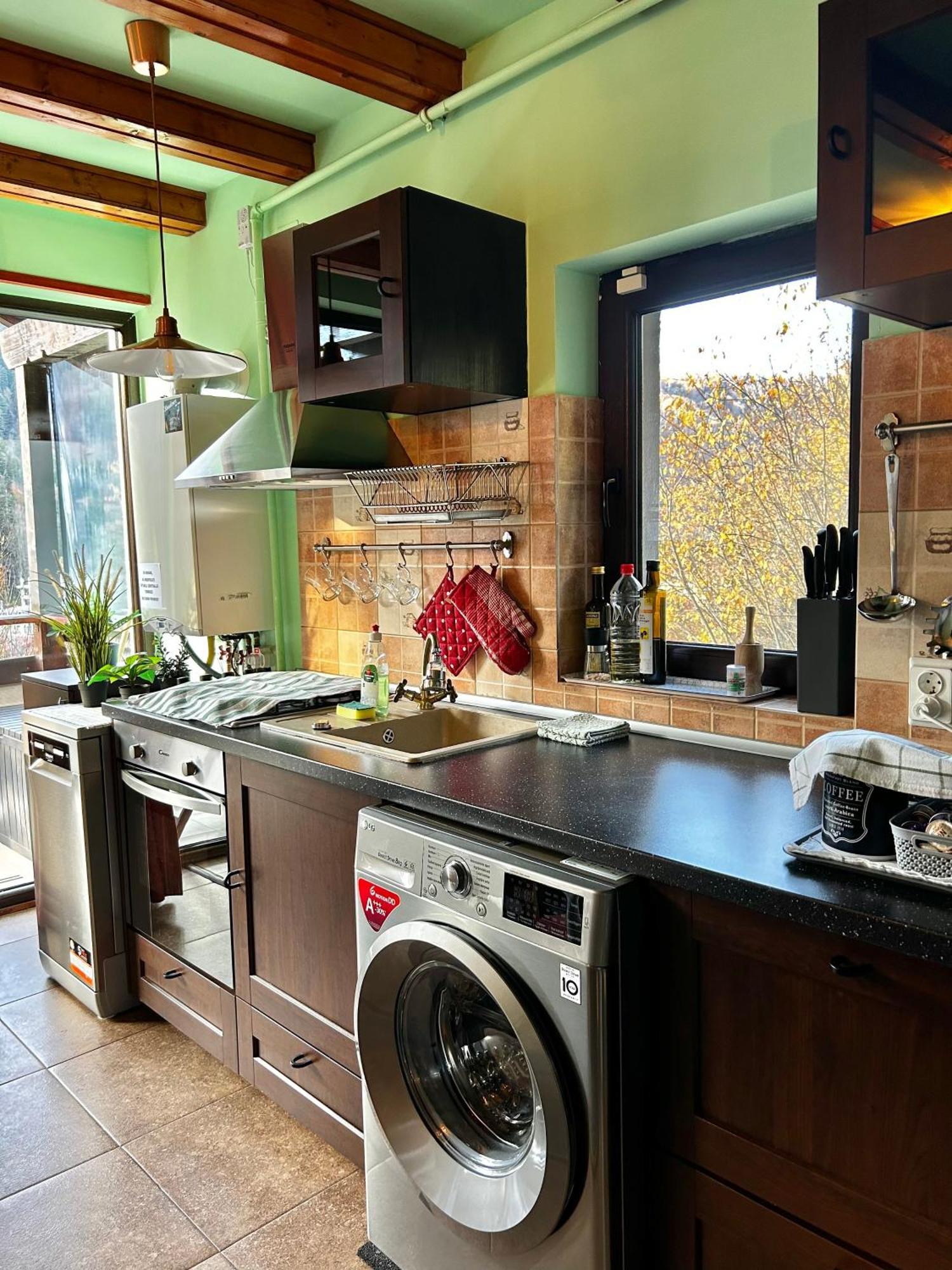 Lucas Duplex Apartment Azuga Bagian luar foto
