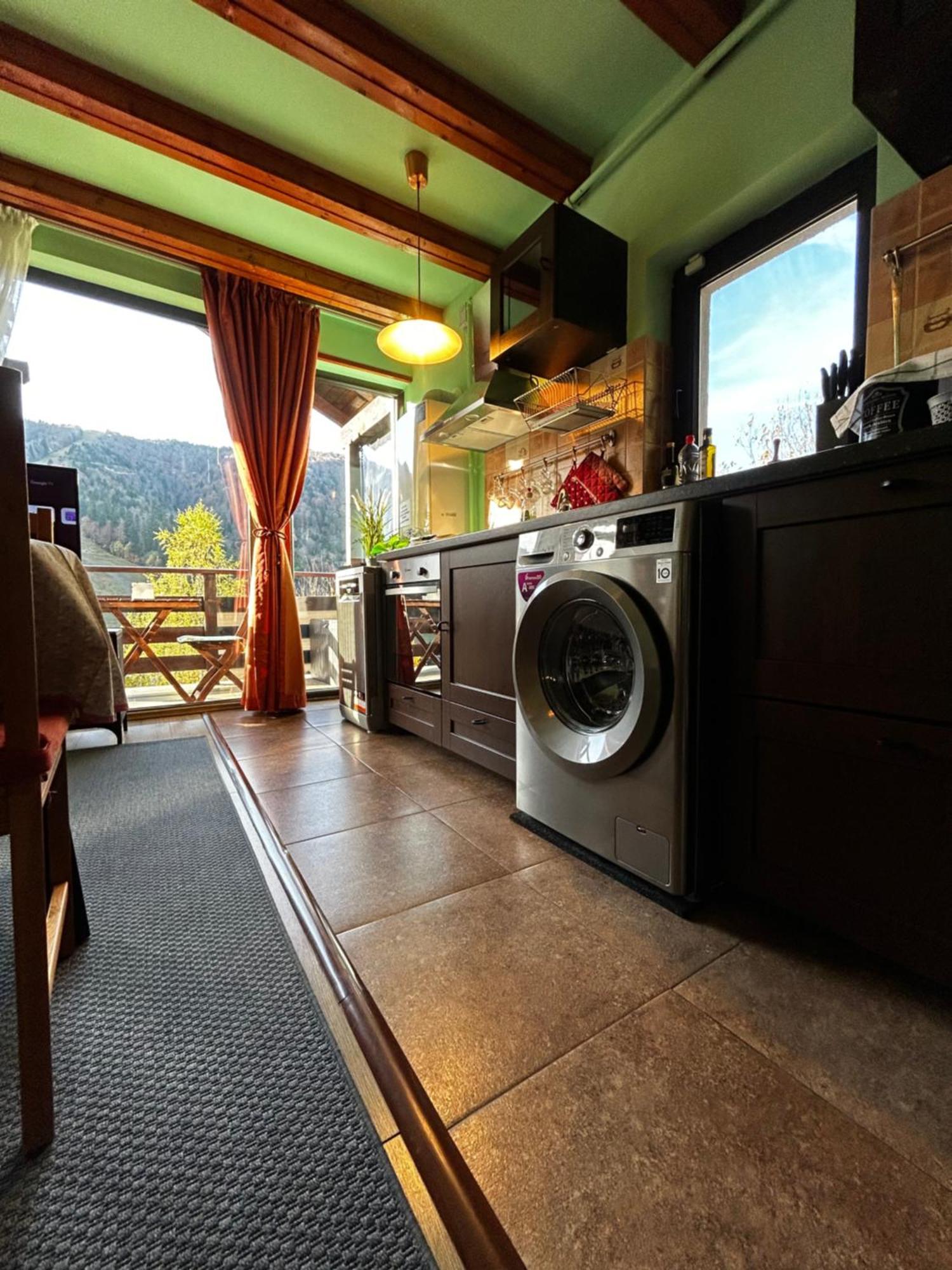Lucas Duplex Apartment Azuga Bagian luar foto